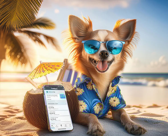 Dog wearing sunglasses and a Hawaiian shirt, sitting on a beach next to a coconut drink and a smartphone displaying AdditionFi banking app.