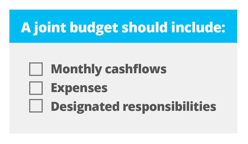 Joint budget should include: monthly cashflows, expenses, and designated responsibilities. 