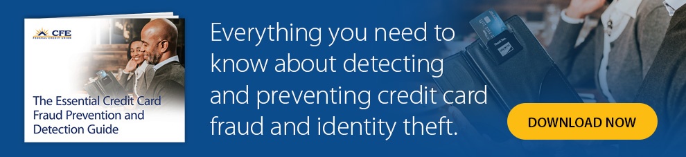 The Essential Credit Card Fraud Prevention and Detection Guide